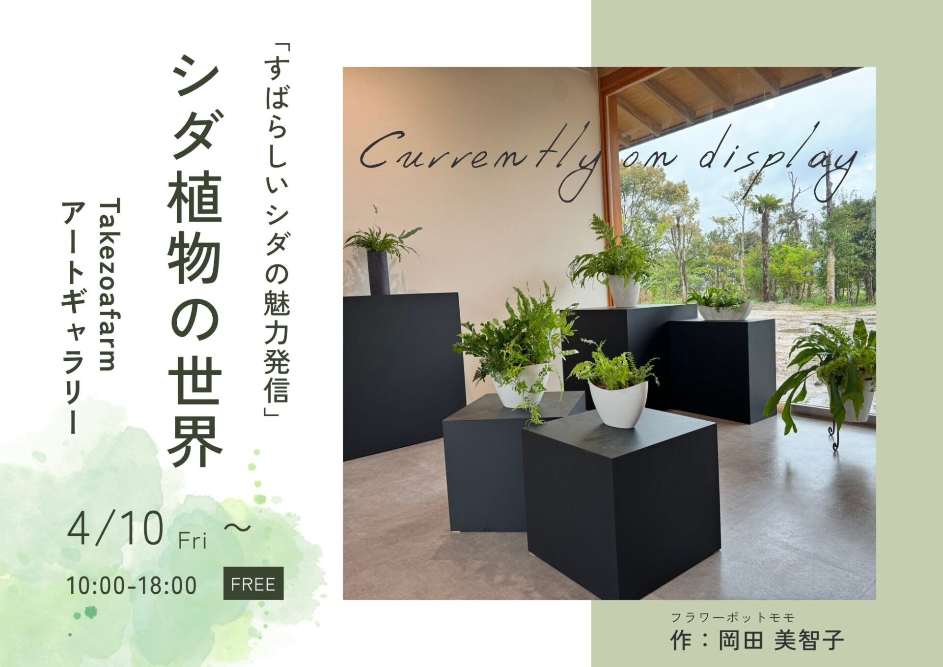 シダ植物の寄植え展示の様子