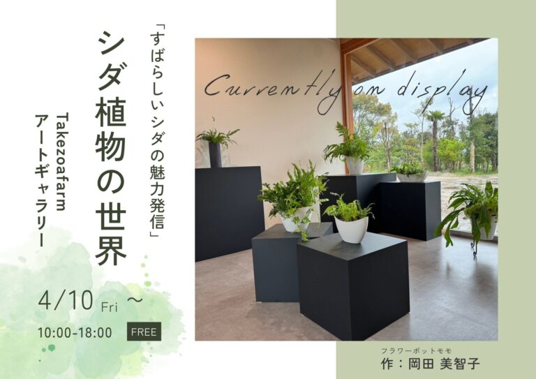 シダ植物の寄植え展示の様子