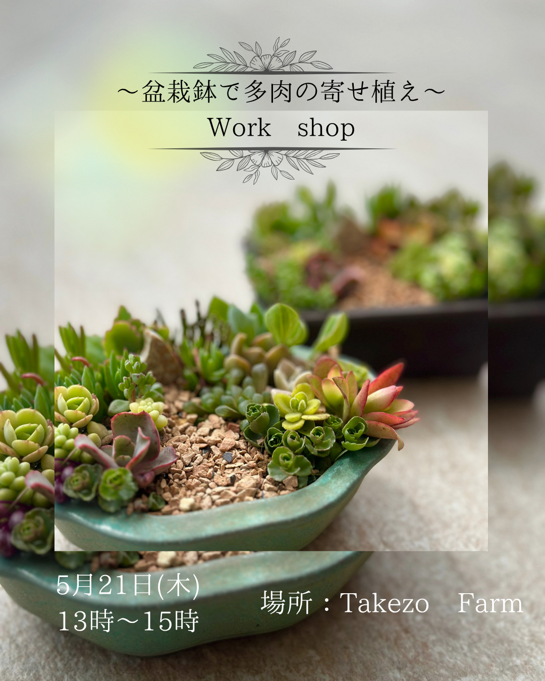 ～盆栽鉢で多肉寄せ植え～