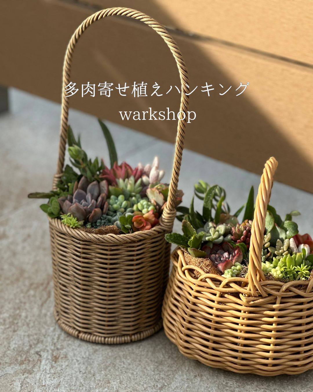 3月のワークショップ　多肉寄せ植え教室