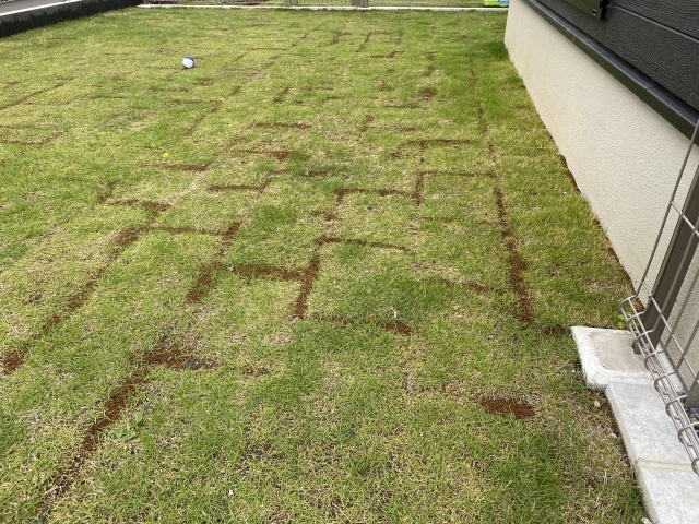 23838167 s