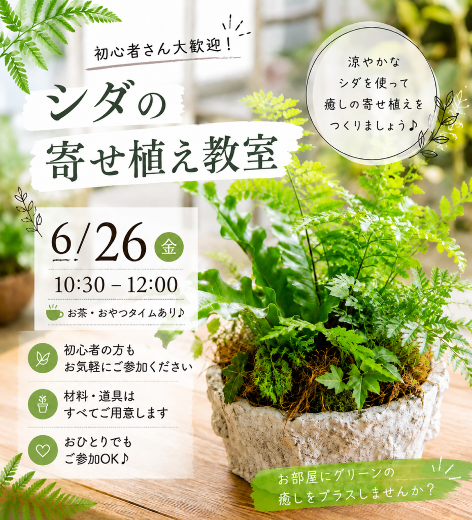 6月26日シダの寄せ植え教室 1