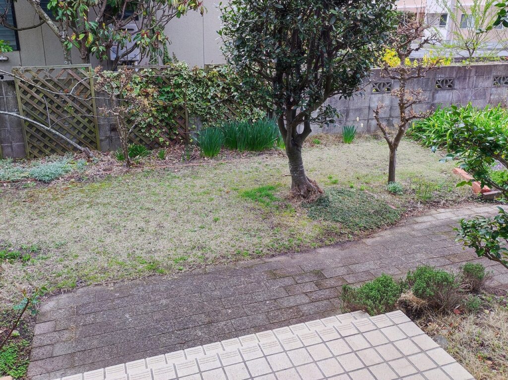 IMG 20230327 102932 コピー