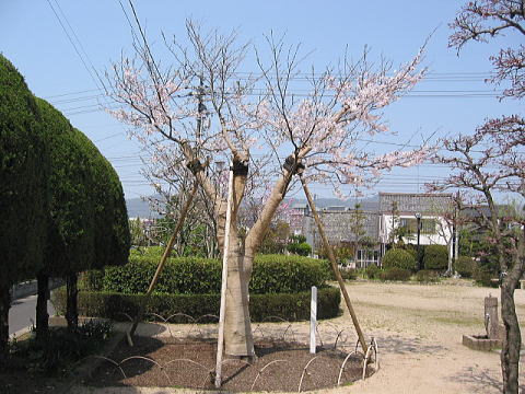 治療中の様子4