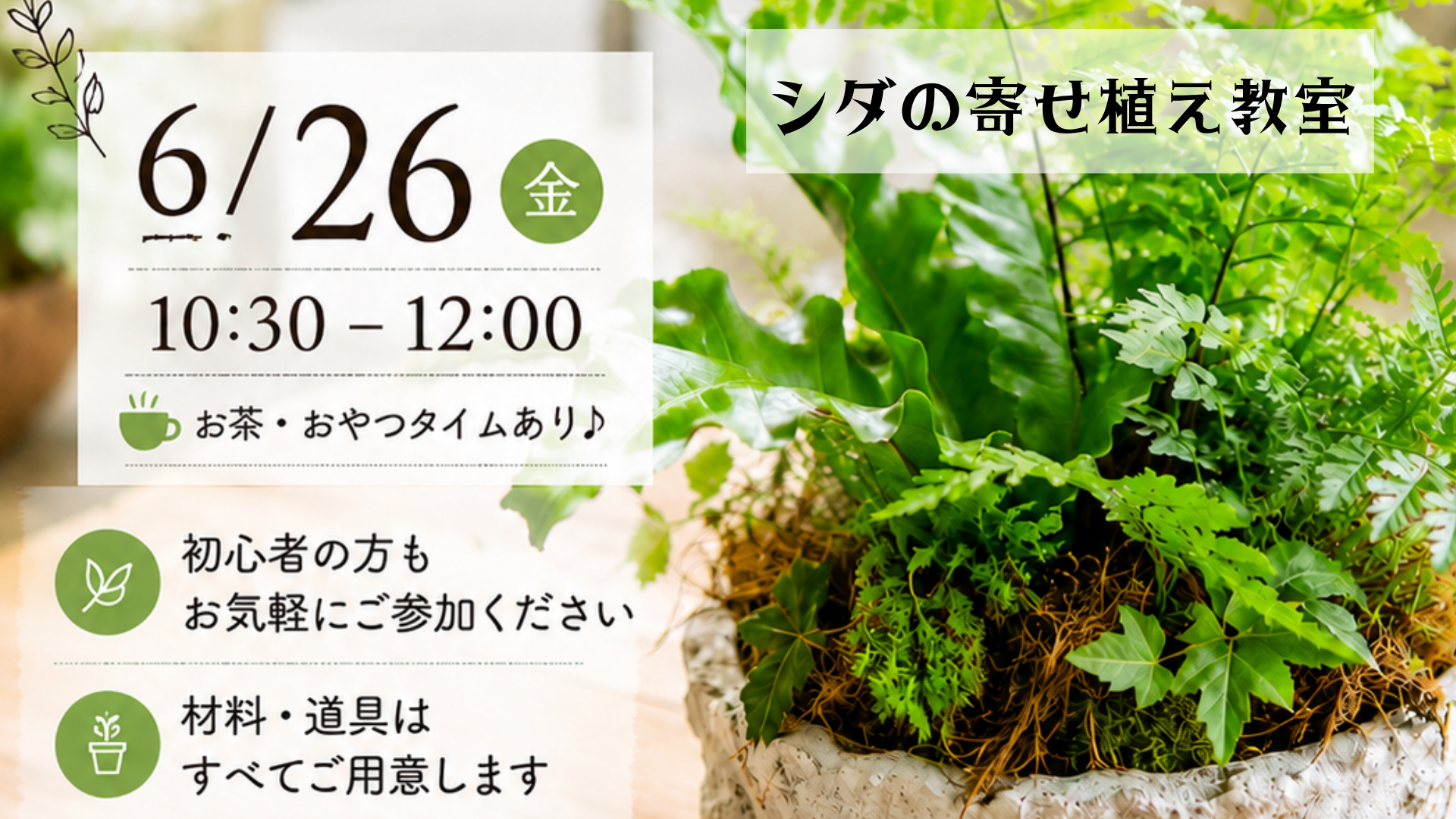 シダの寄せ植え教室