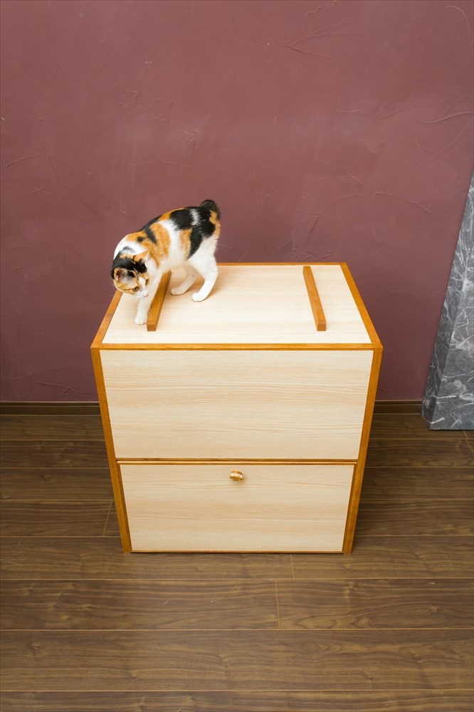 家具の上でくつろぐ三毛猫