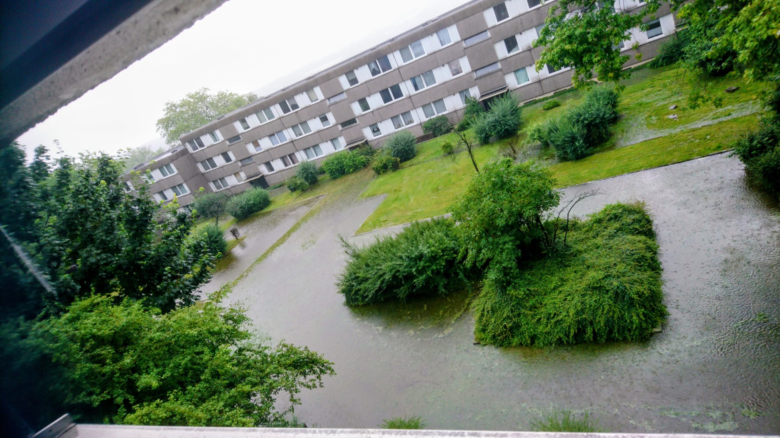 garden waterlogged lawn