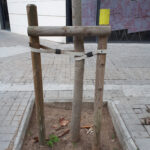 taifu-shichu-cover