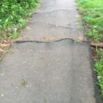 駐車場のコンクリートが庭木の根で盛り上がってきた…この根、切っても大丈夫? tree-root-heaving-pavement