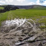 waterlogged-soil-drainage