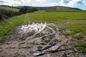 waterlogged soil drainage