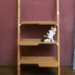 猫を飼う前に知っておきたい庭・外構づくりのポイント―ガーデンルームで叶える安全な外時間 猫と暮らす前に考えたい住まいと庭の準備