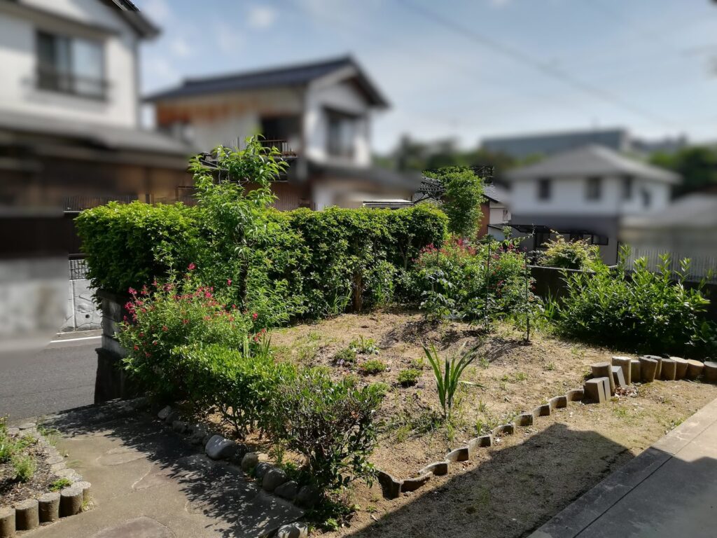 リノベーション前の庭。伸びた生垣と土がむき出しの花壇