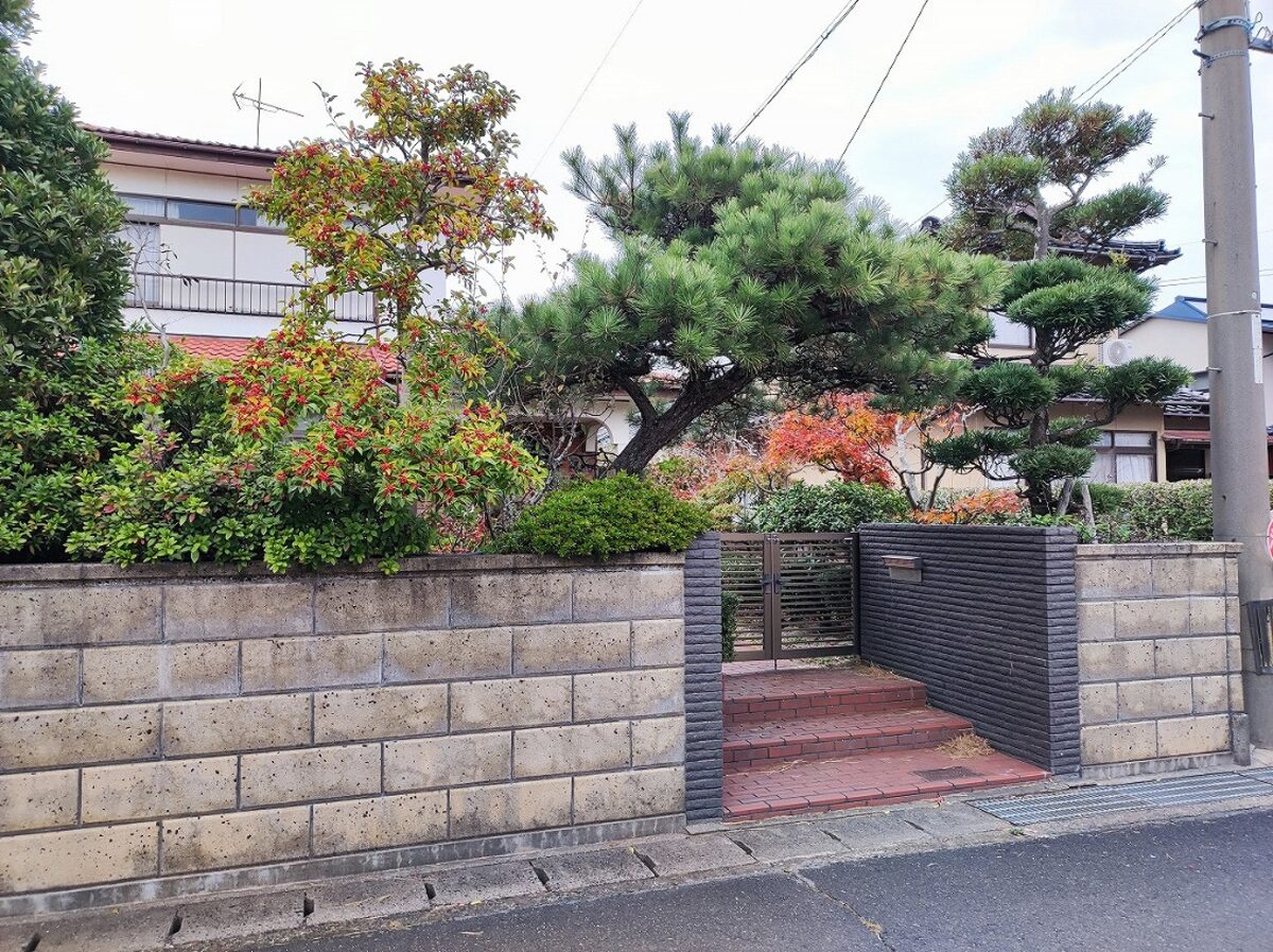 施工前の庭。ブロック塀の上に松や生垣が茂っている