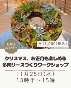 クリスマス、お正月も楽しめる 多肉リースづくりワークショップ 4