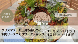 クリスマス、お正月も楽しめる 多肉リースづくりワークショップ プレゼンテーション 1