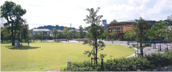 1996年しまね景観賞を受賞した出雲市・くすのき広場の芝生広場と植栽