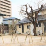 出雲の庭木、冬を迎える前に。秋に整えたい植栽の冬支度 植えたばかりの複数の庭木を木製の支柱で支えた庭の施工例