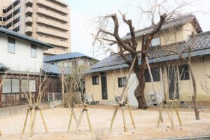 植えたばかりの複数の庭木を木製の支柱で支えた庭の施工例